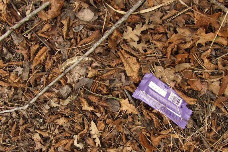 09 Bogomir Duzbaba pohvala